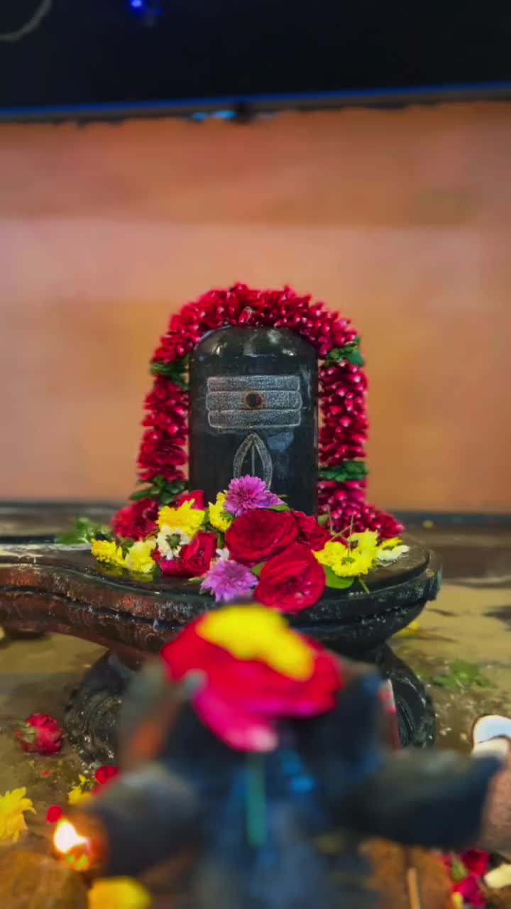 @🕉️ Om Namasivaya 🕉️