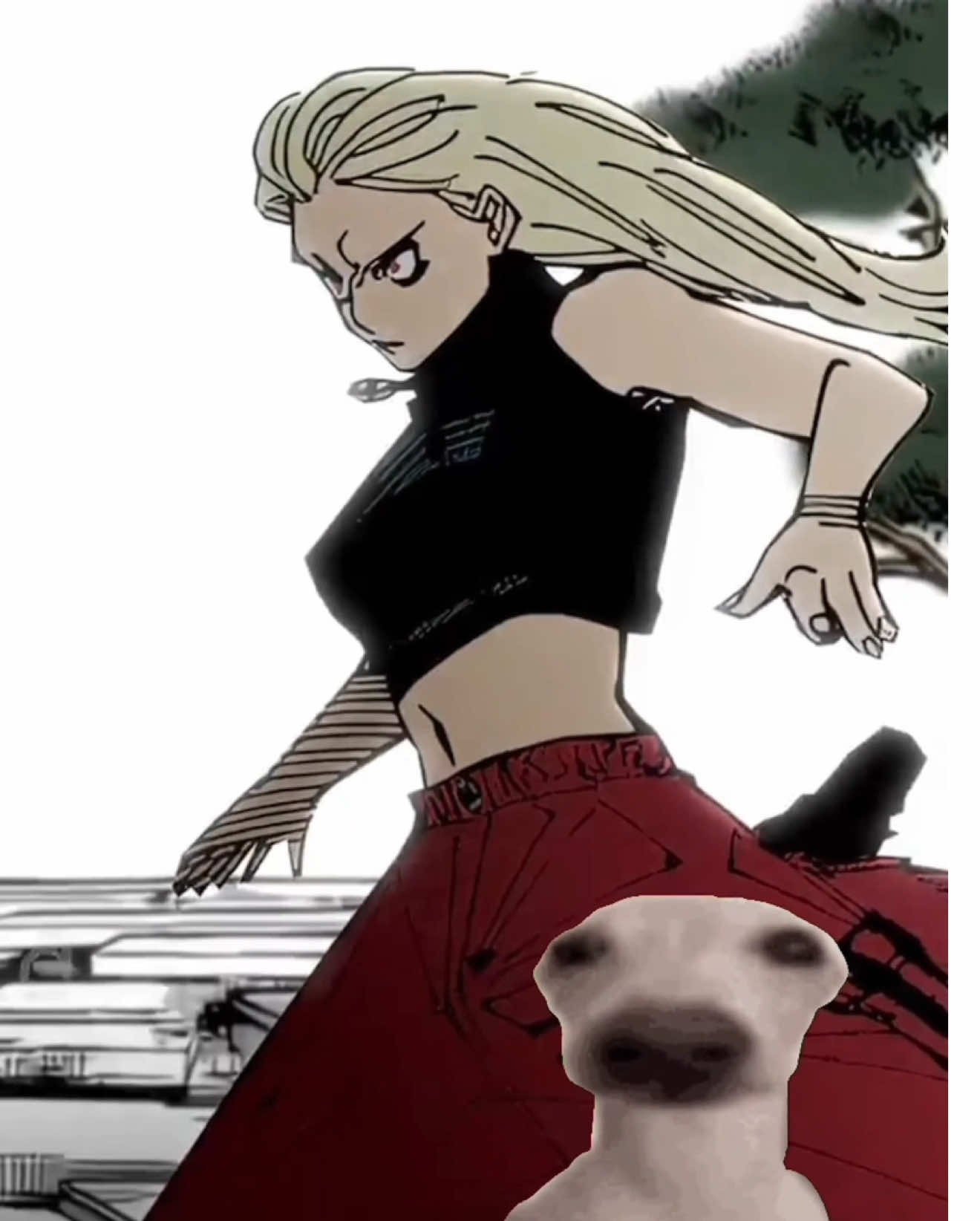 @🌭 𝐄𝐋𝐃𝐎𝐆𝐎𝐒𝐎𝐆𝐌𝐀 🌭