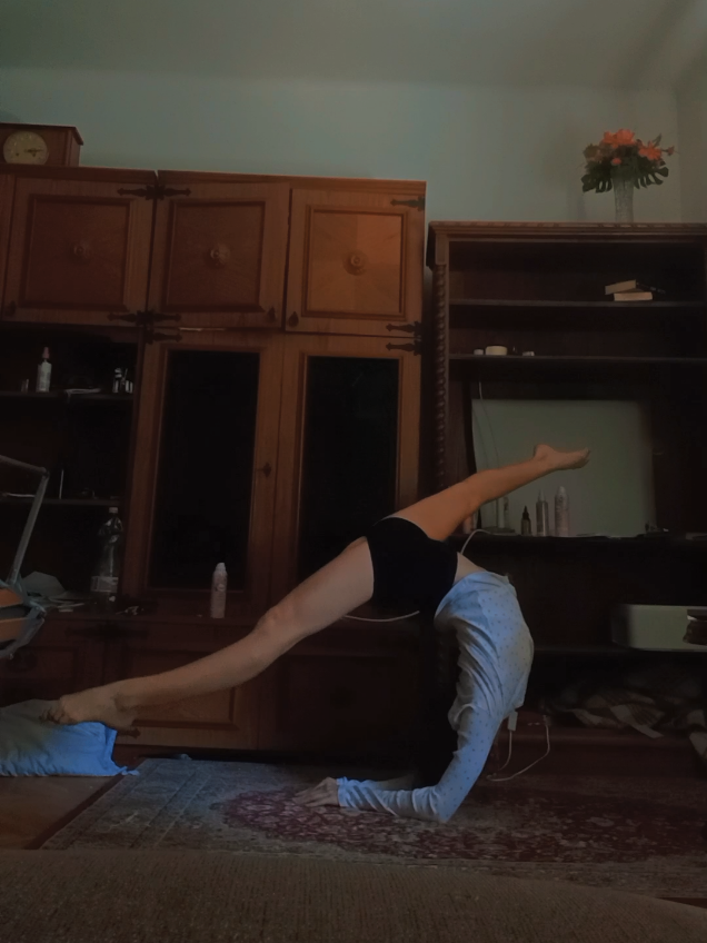 @circusobsessed