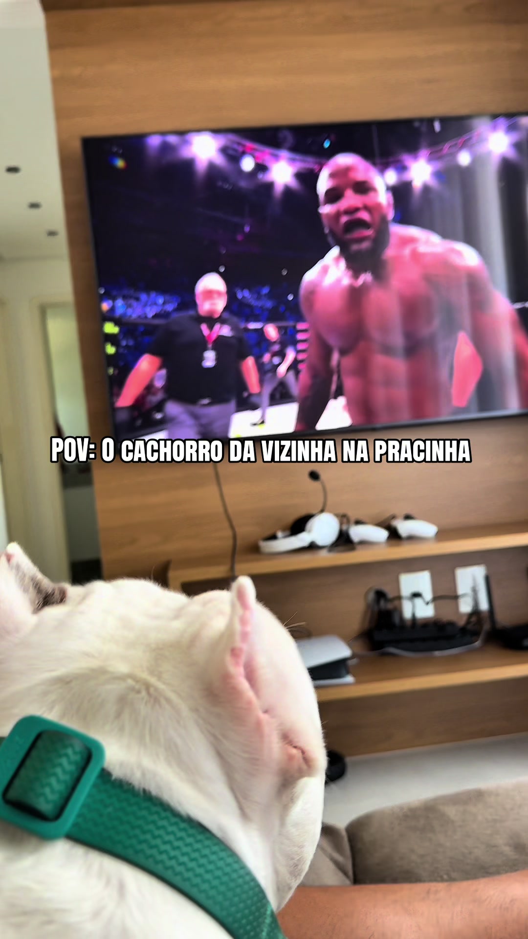 @dorianobeccaccioli
