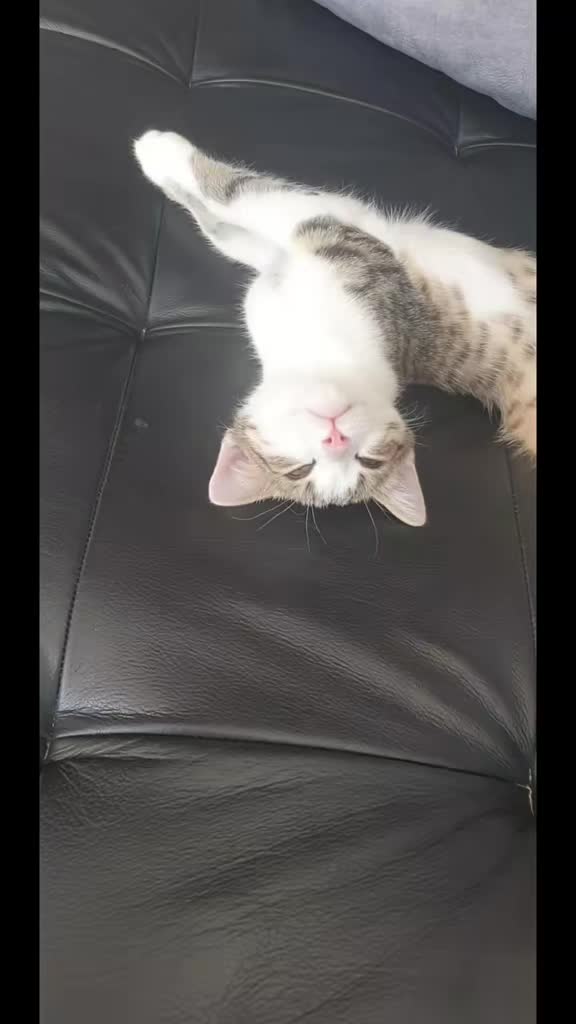 @Minnoş❤💙61