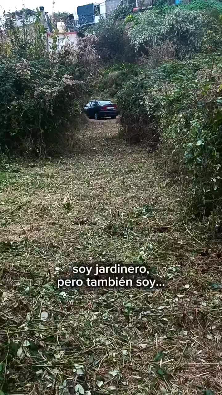 @jorge