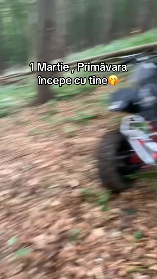 @Irimescuu500