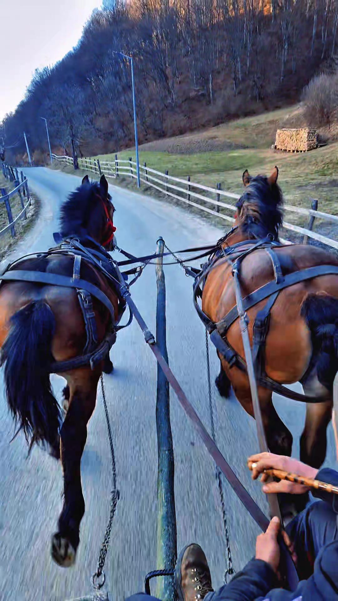 @🤠 Georgiana 🐴