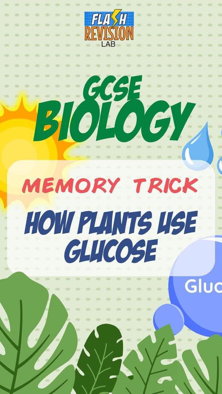 @FlashRevisionLab