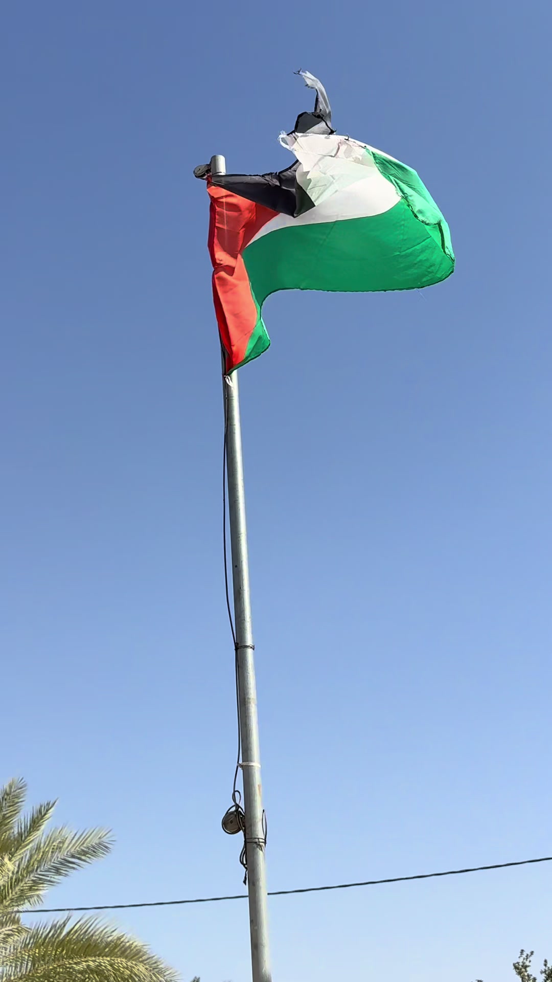 @nighatfarzana8