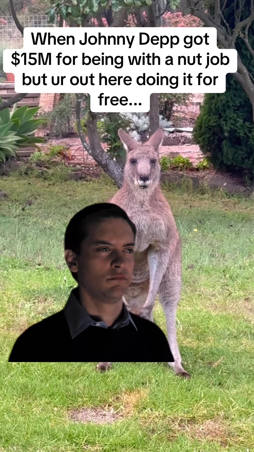 @davidoslifeo