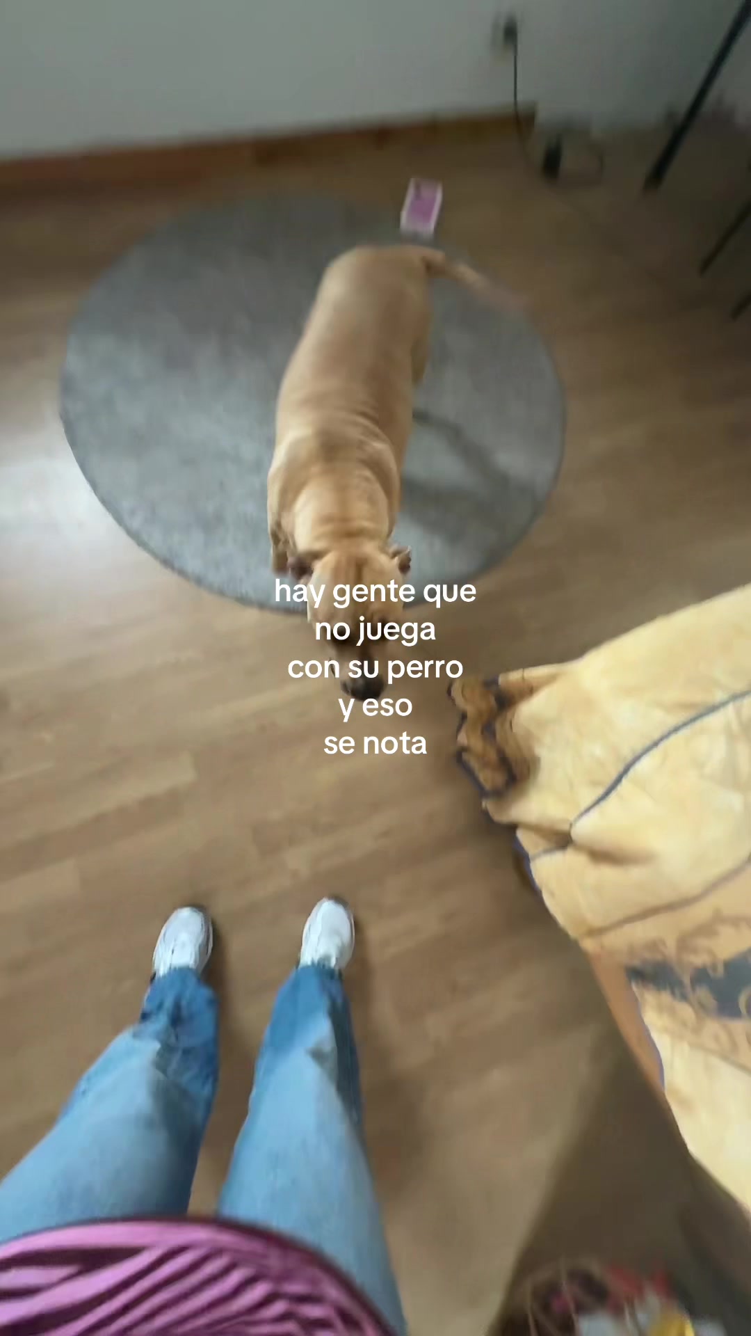 @Sisoy