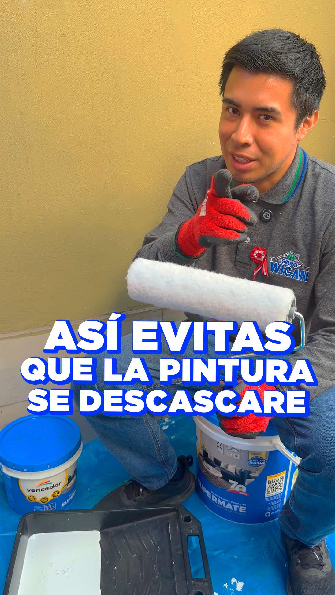 @Grupo Wigan|Pinturas por Mayor
