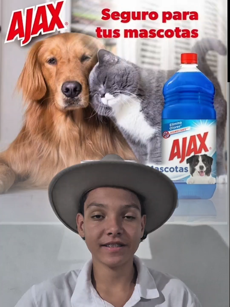 @ElBerracotrovador