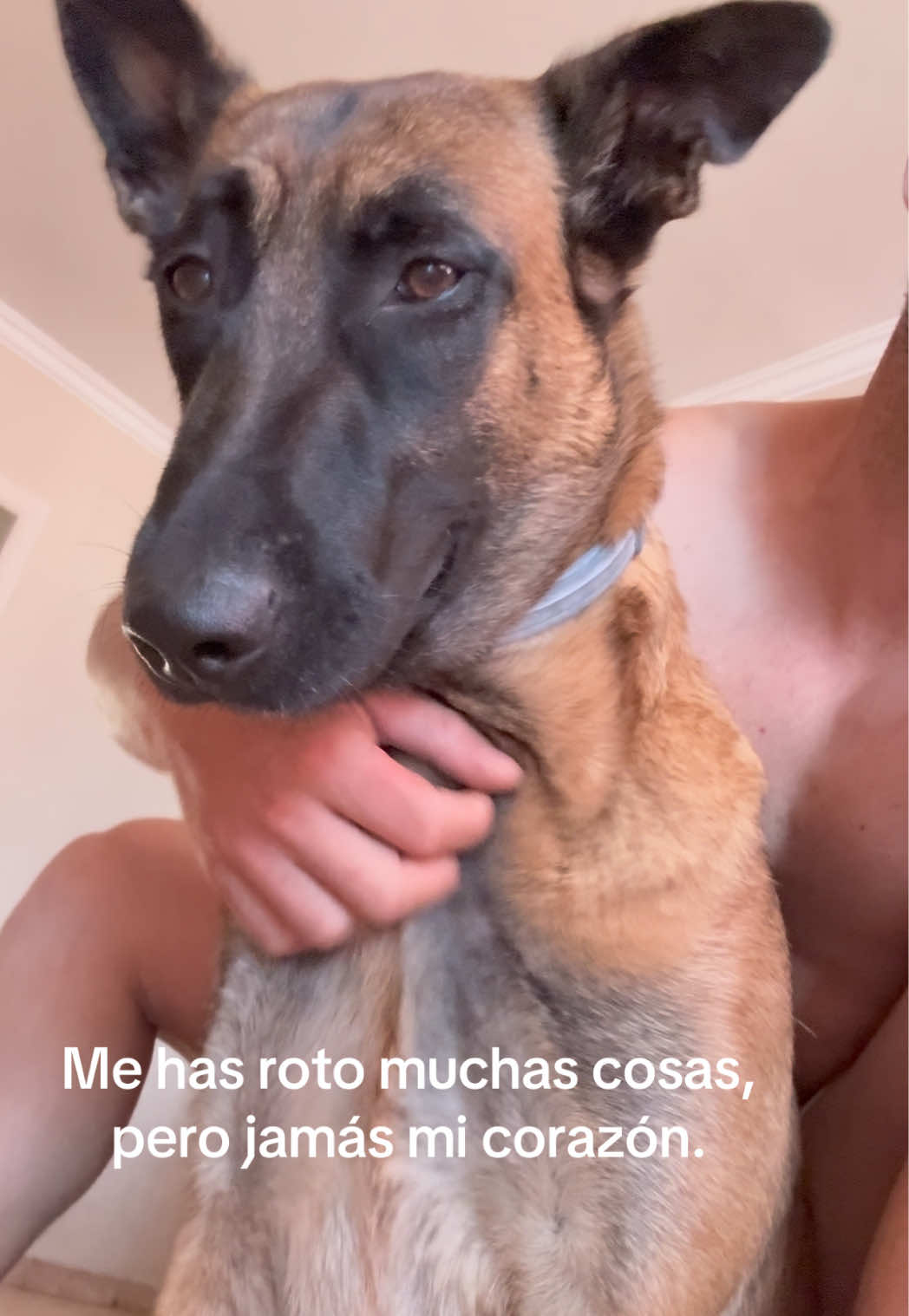 @Lobalobita