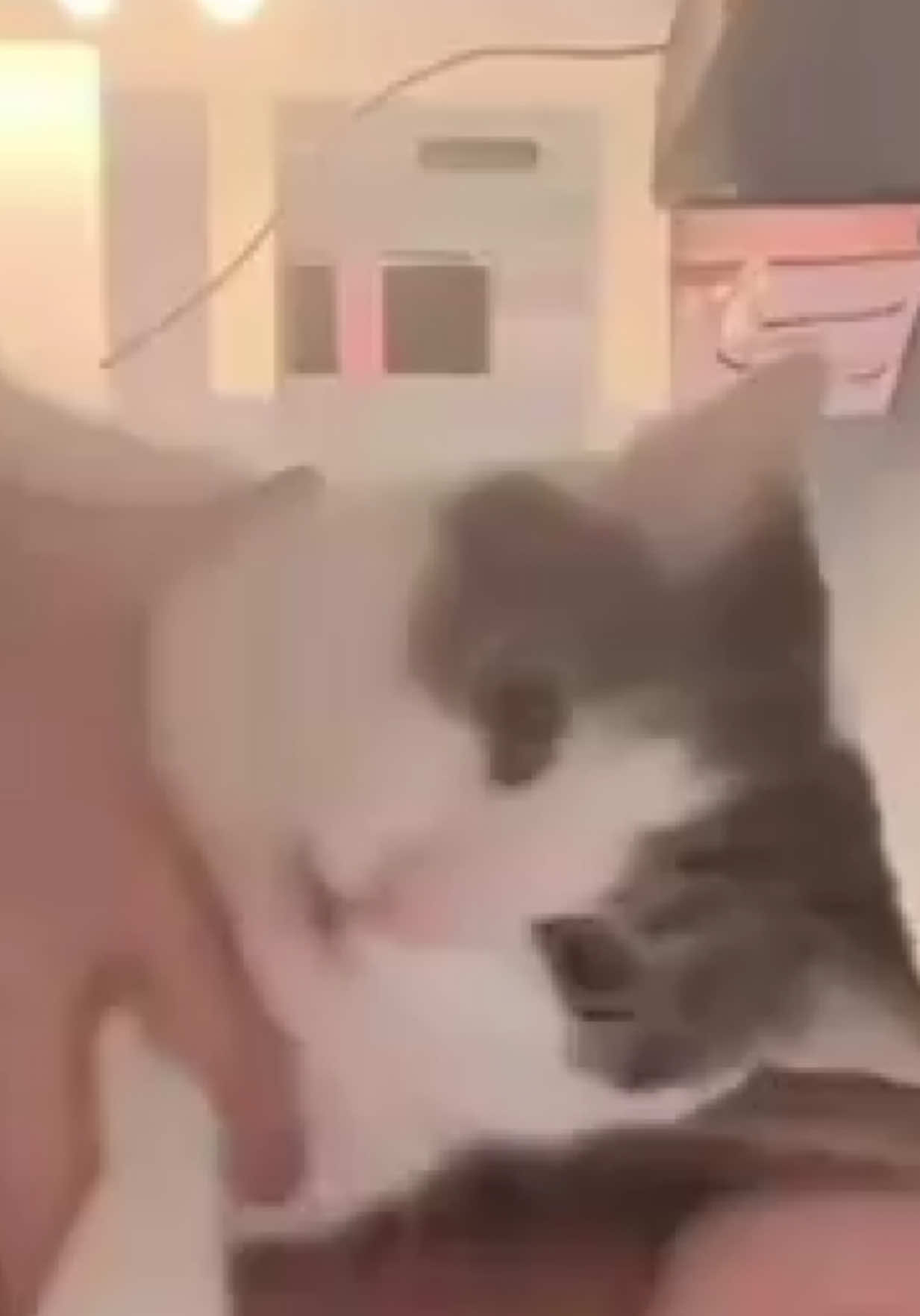 @𝓲𝔃𝔃𝔂 💫