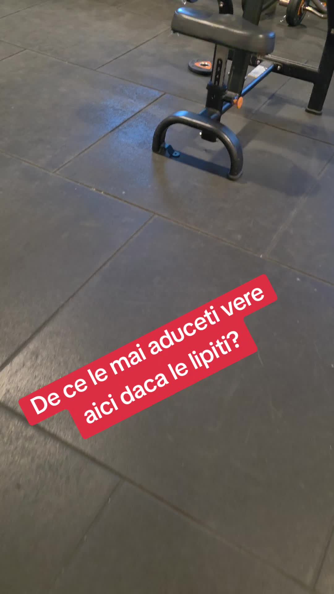 @TaNNo🇷🇴🇳🇱