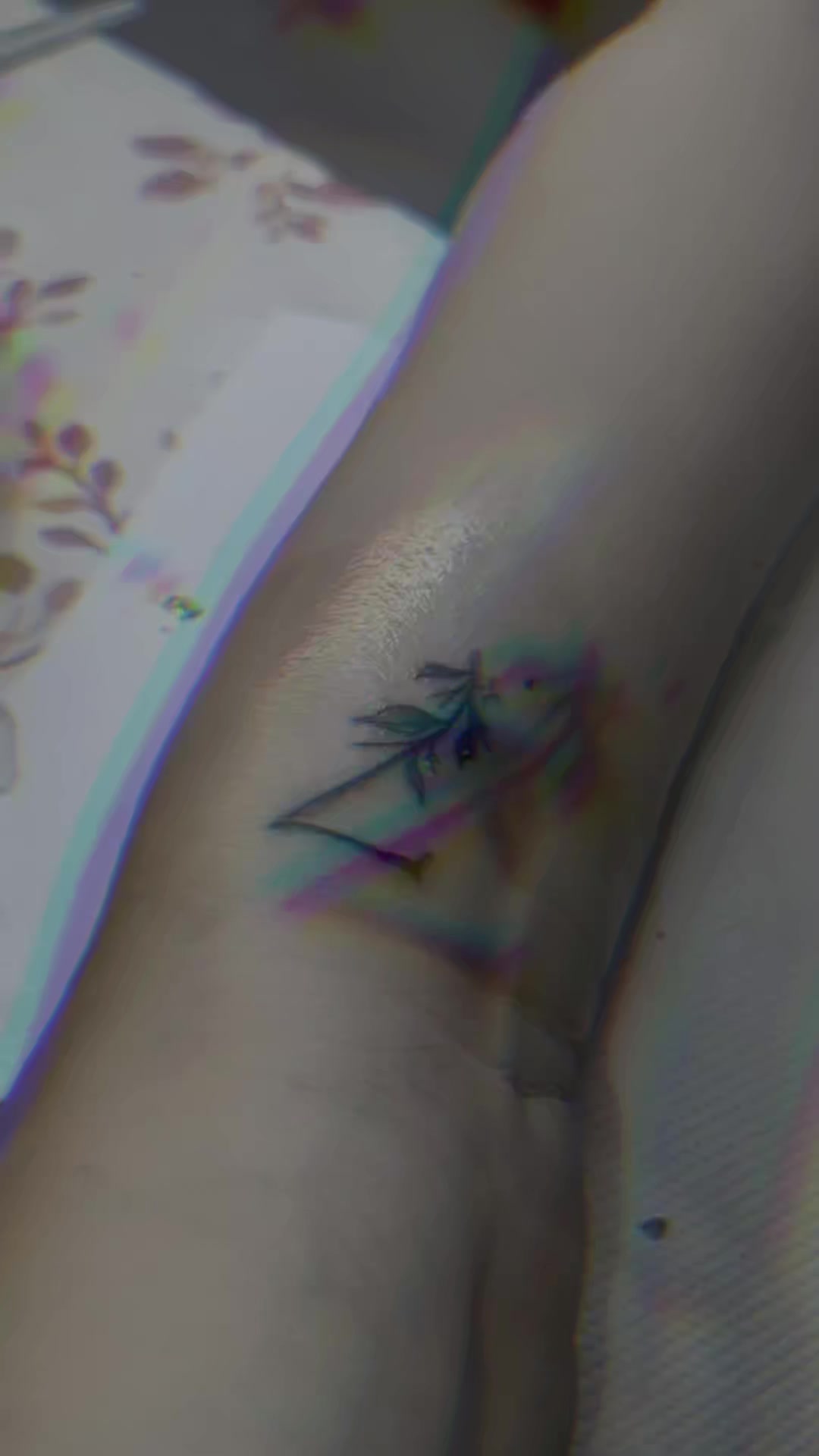 @CÁNOVA TATTOO TALARA ๐๐๏ธ