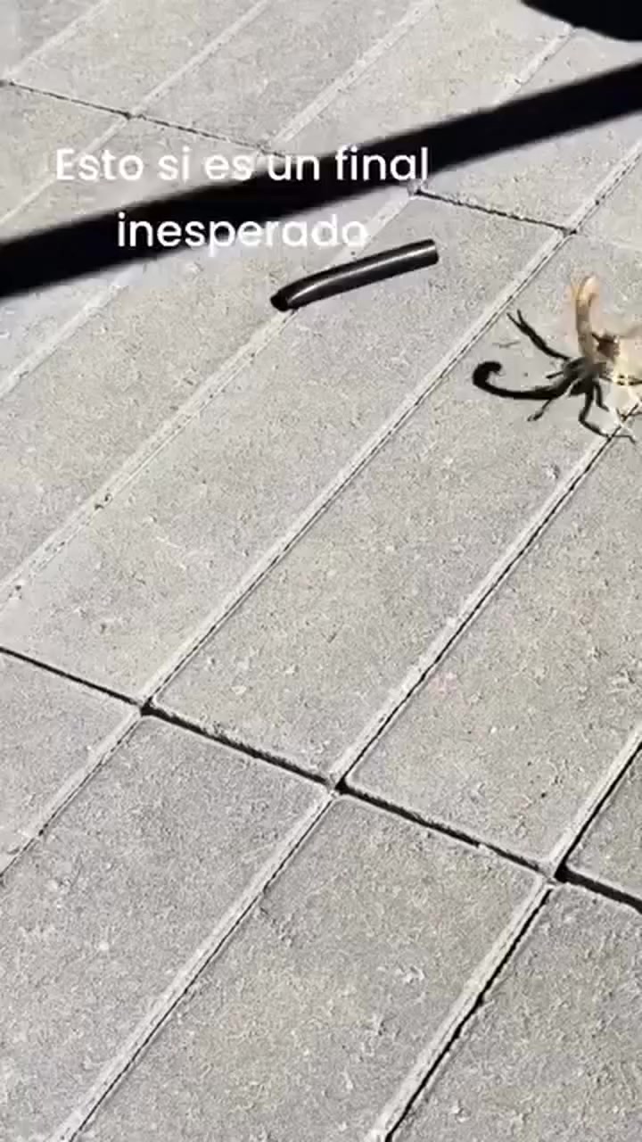 @Mario_dbl19🏹