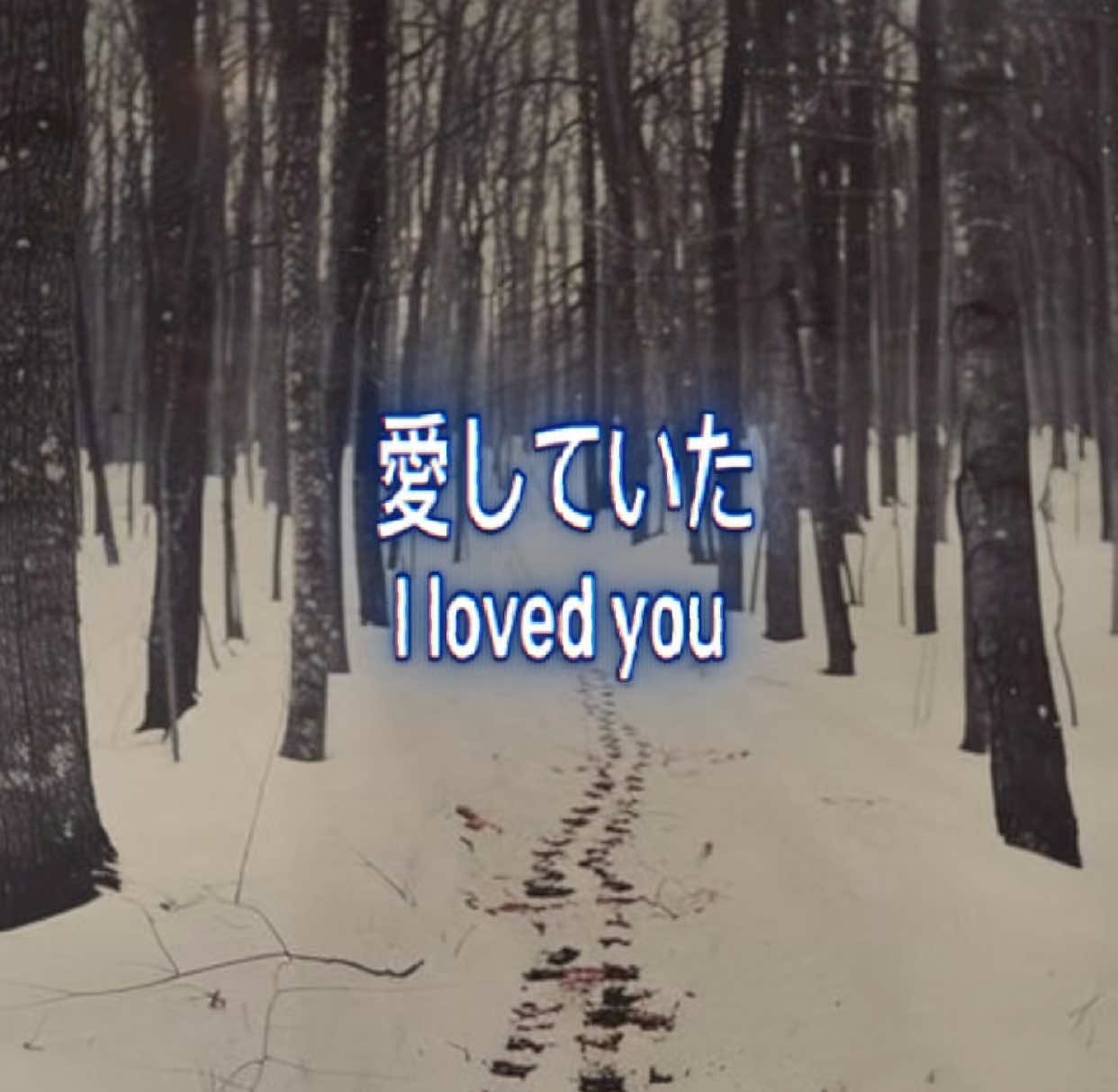 @ʕ &bull;ᴥ&bull;ʔ