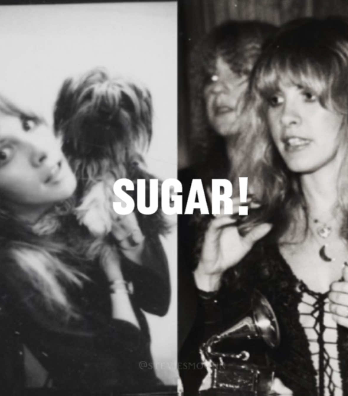 @stevie fan !! ꩜