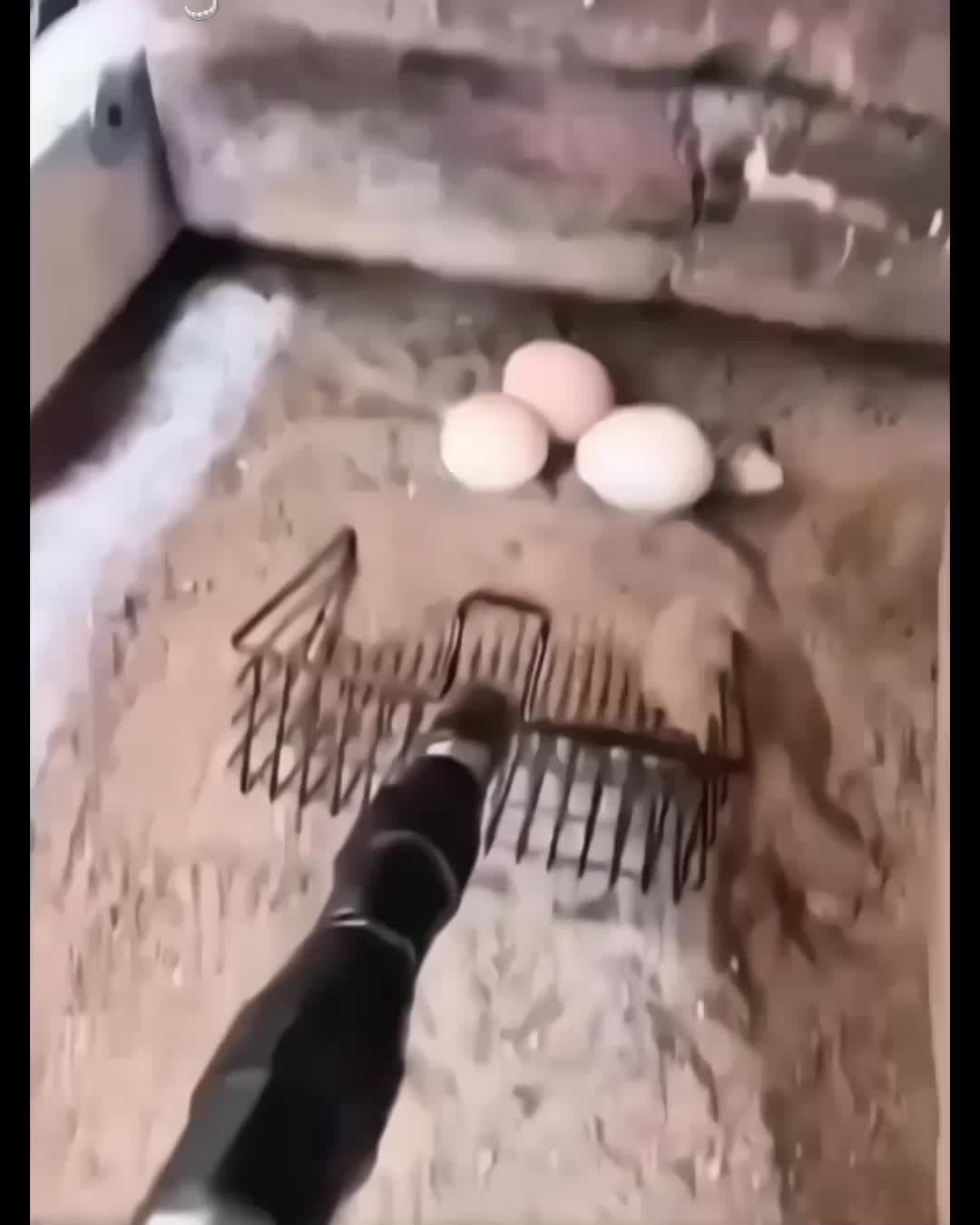 @HALONEXT