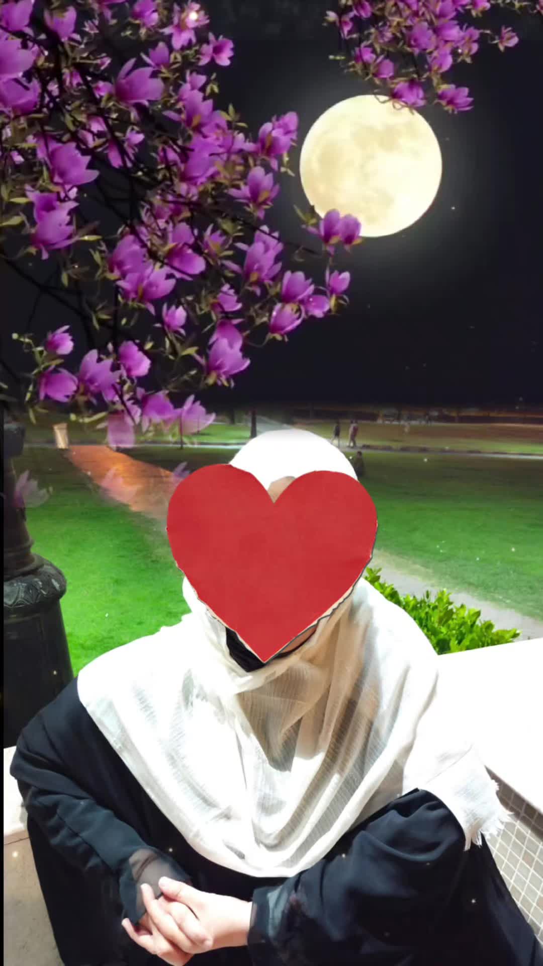 @🌹✨❤seema❤✨✨🌹💫