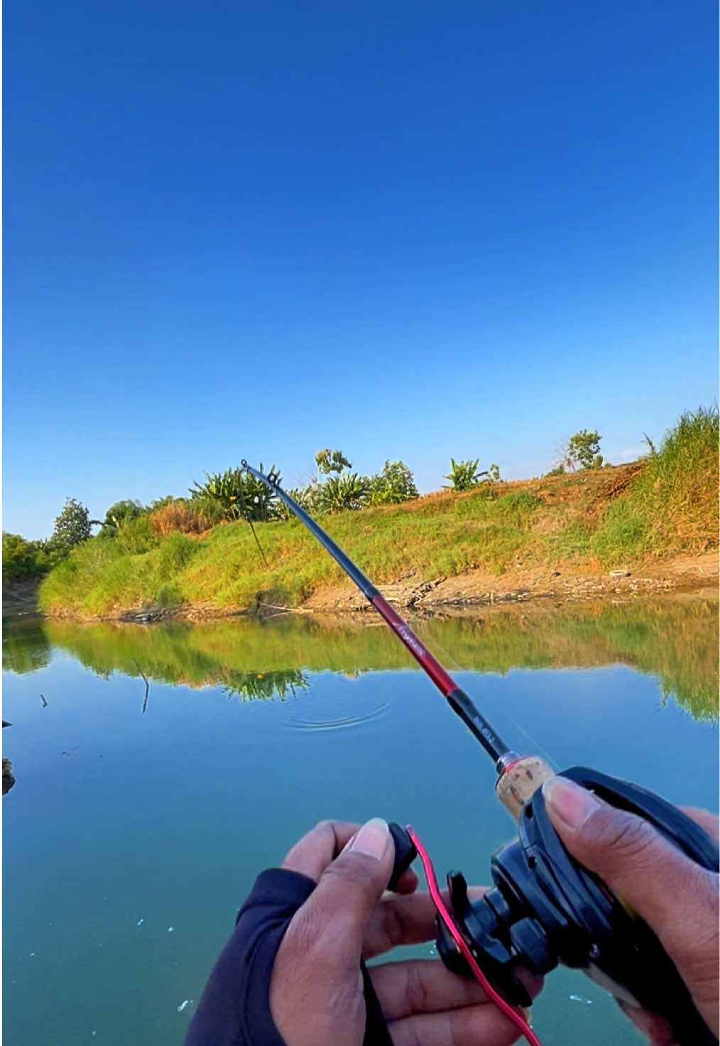 @MAFIA FISHING