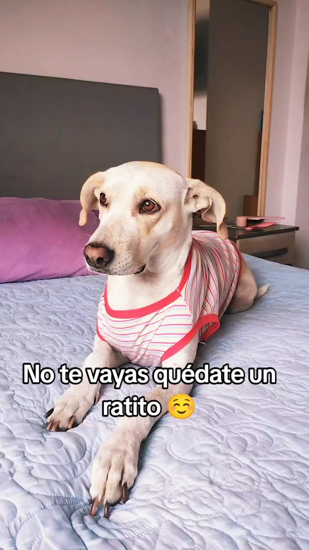 @winnie ❤🦮