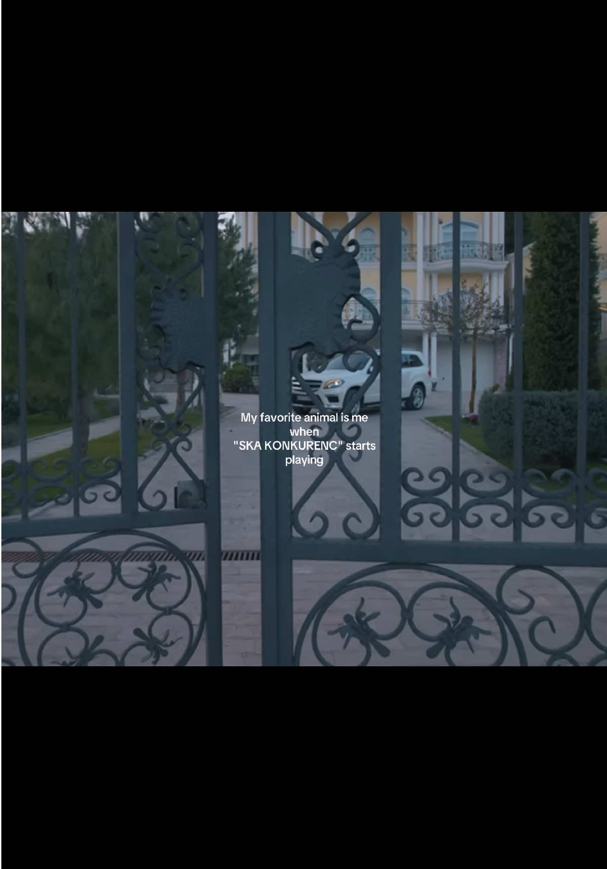@🇦🇱