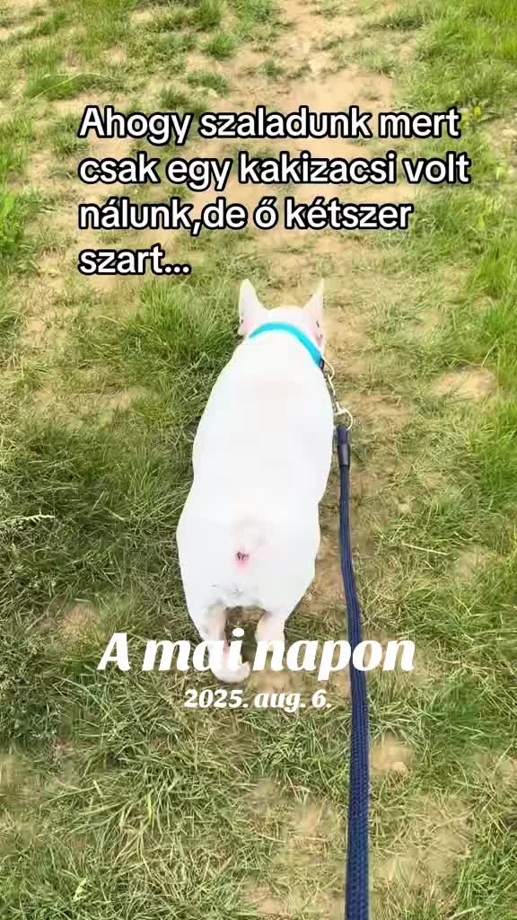 @#faszkivan