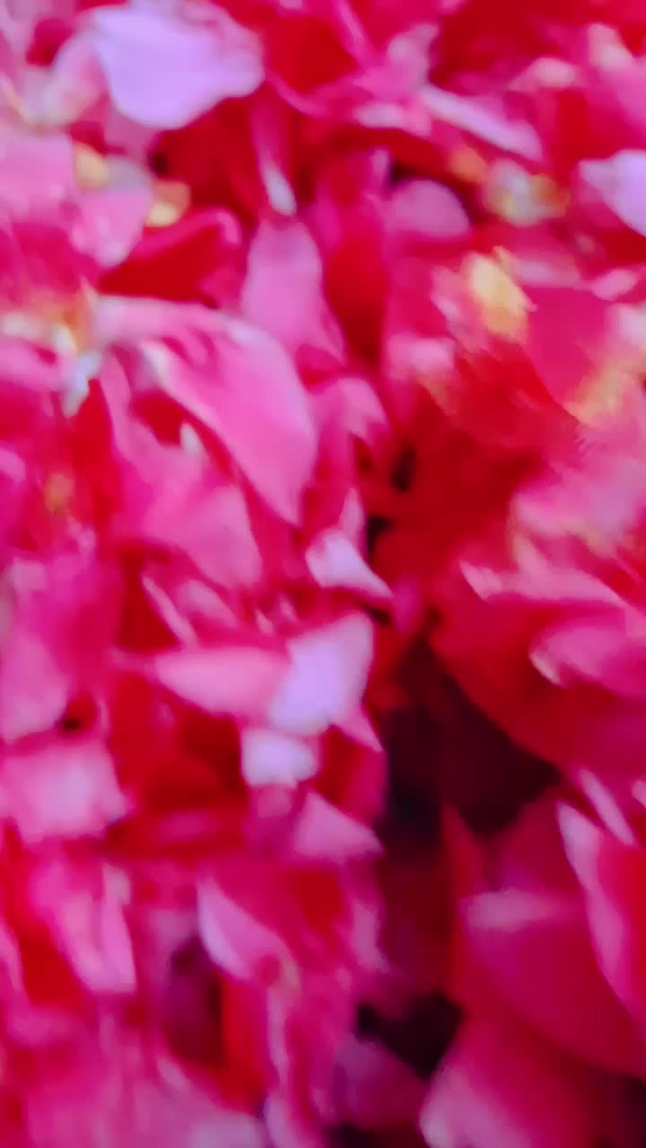 @Preenitha