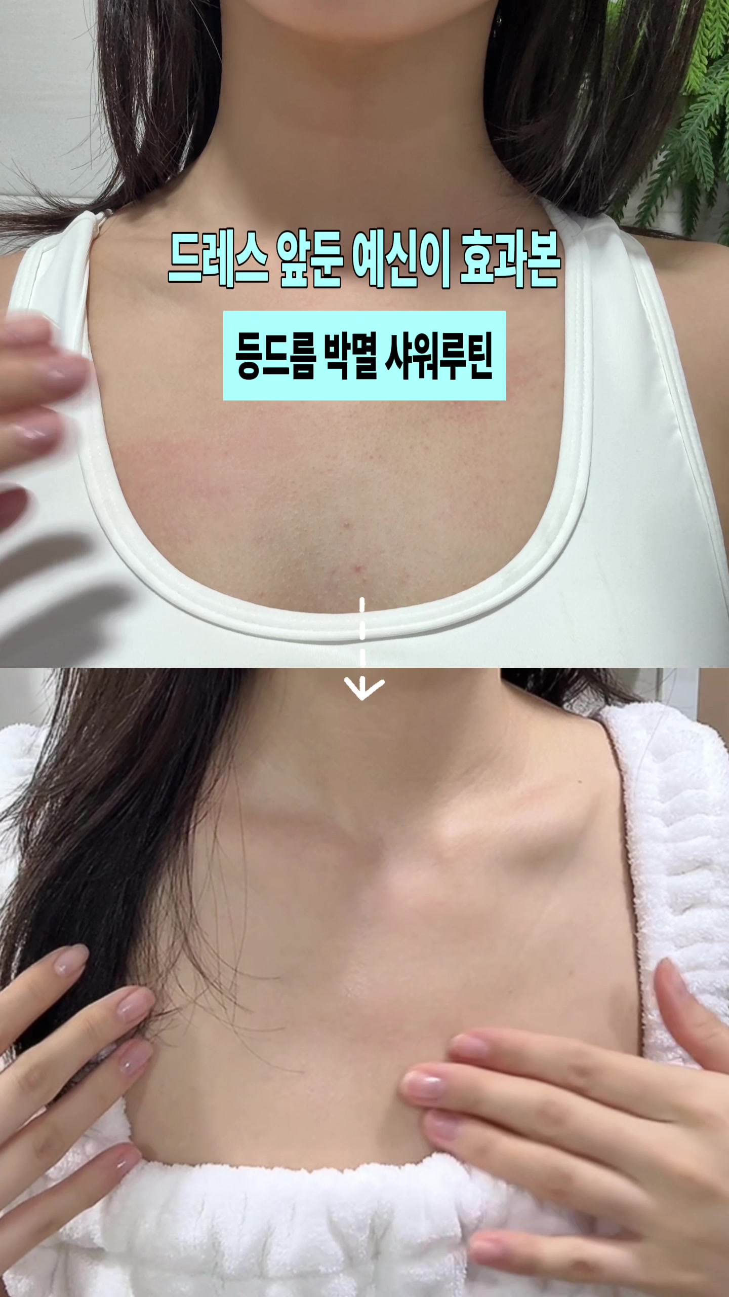 @다제로 dazero
