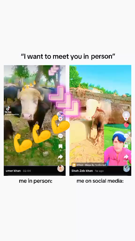 @Umarjan
