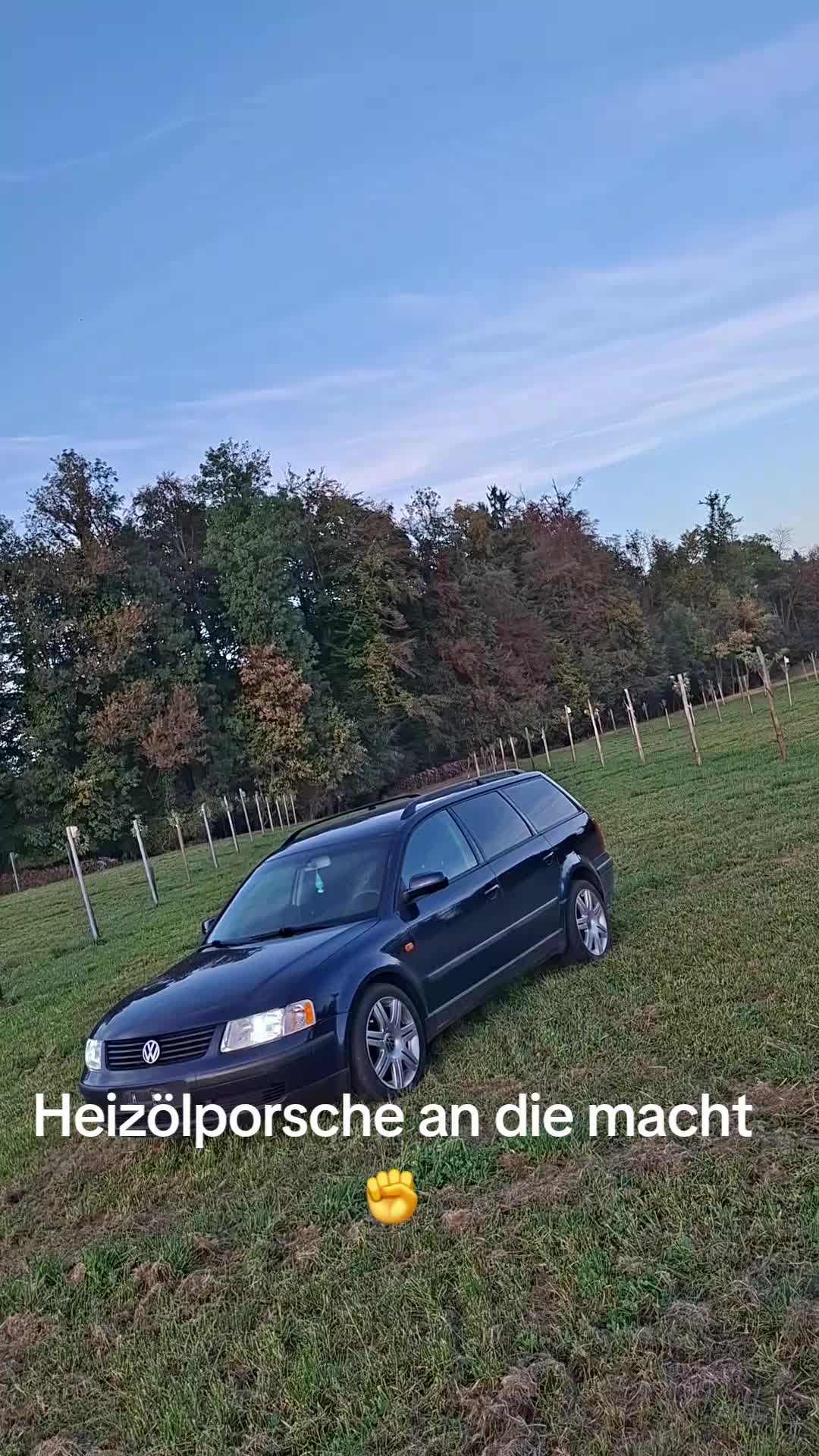 @Polini_Dänu