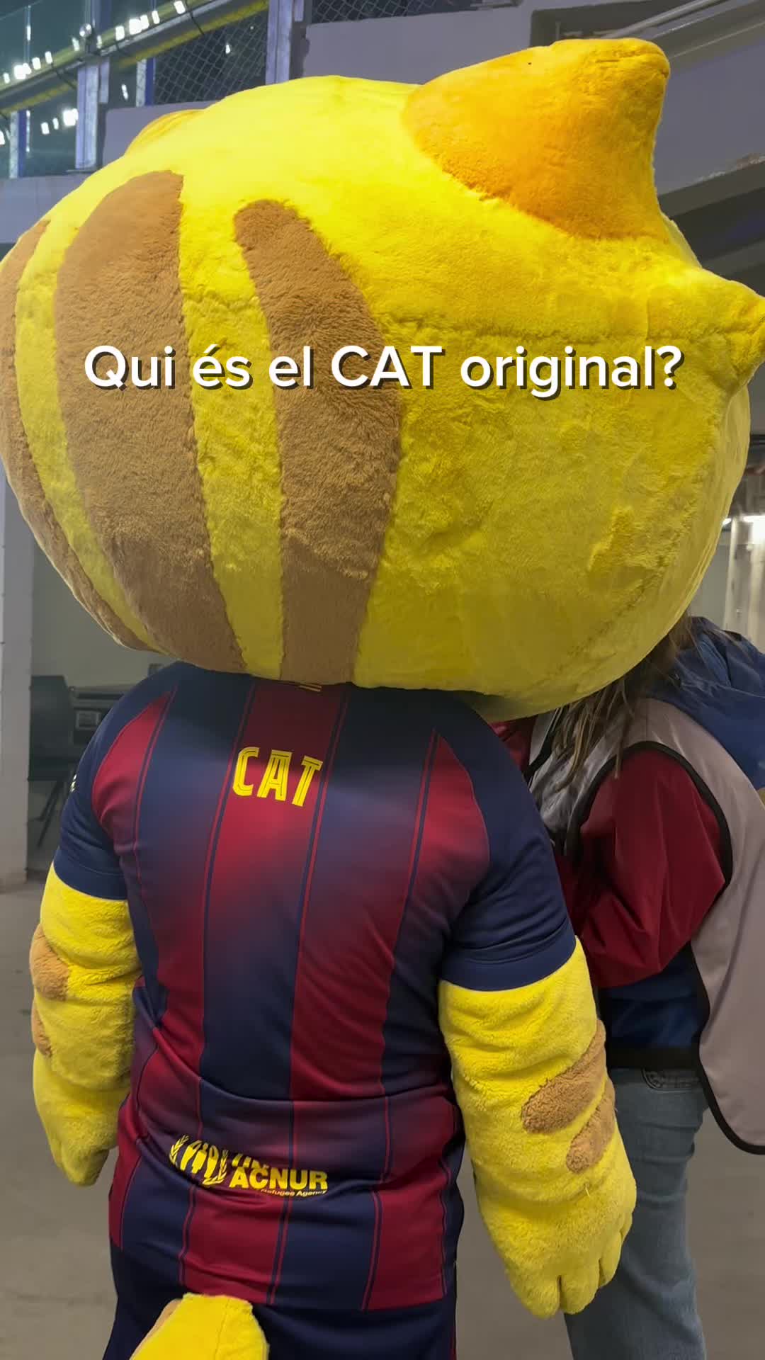 @CatLletres