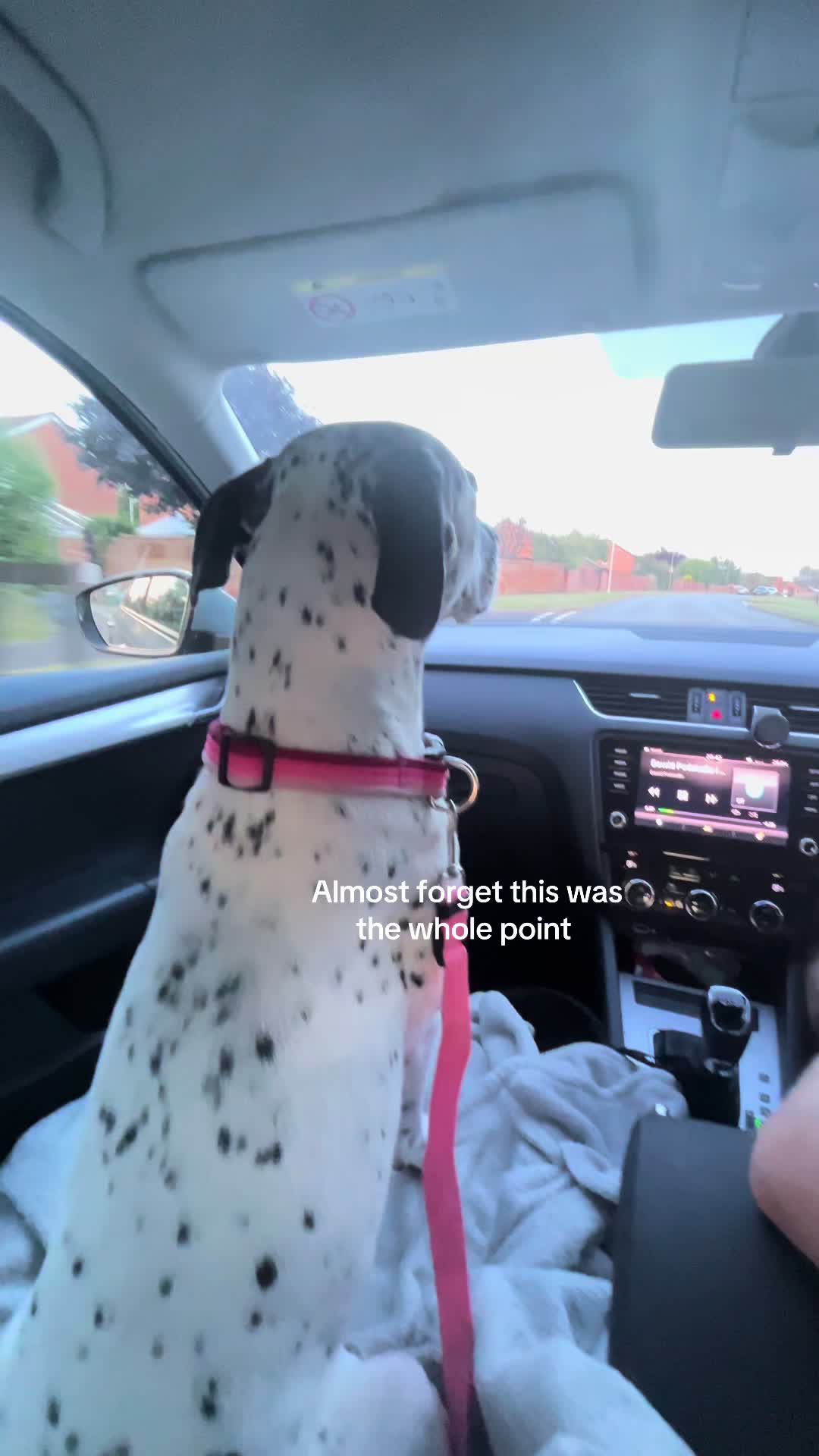 @spottybonnie