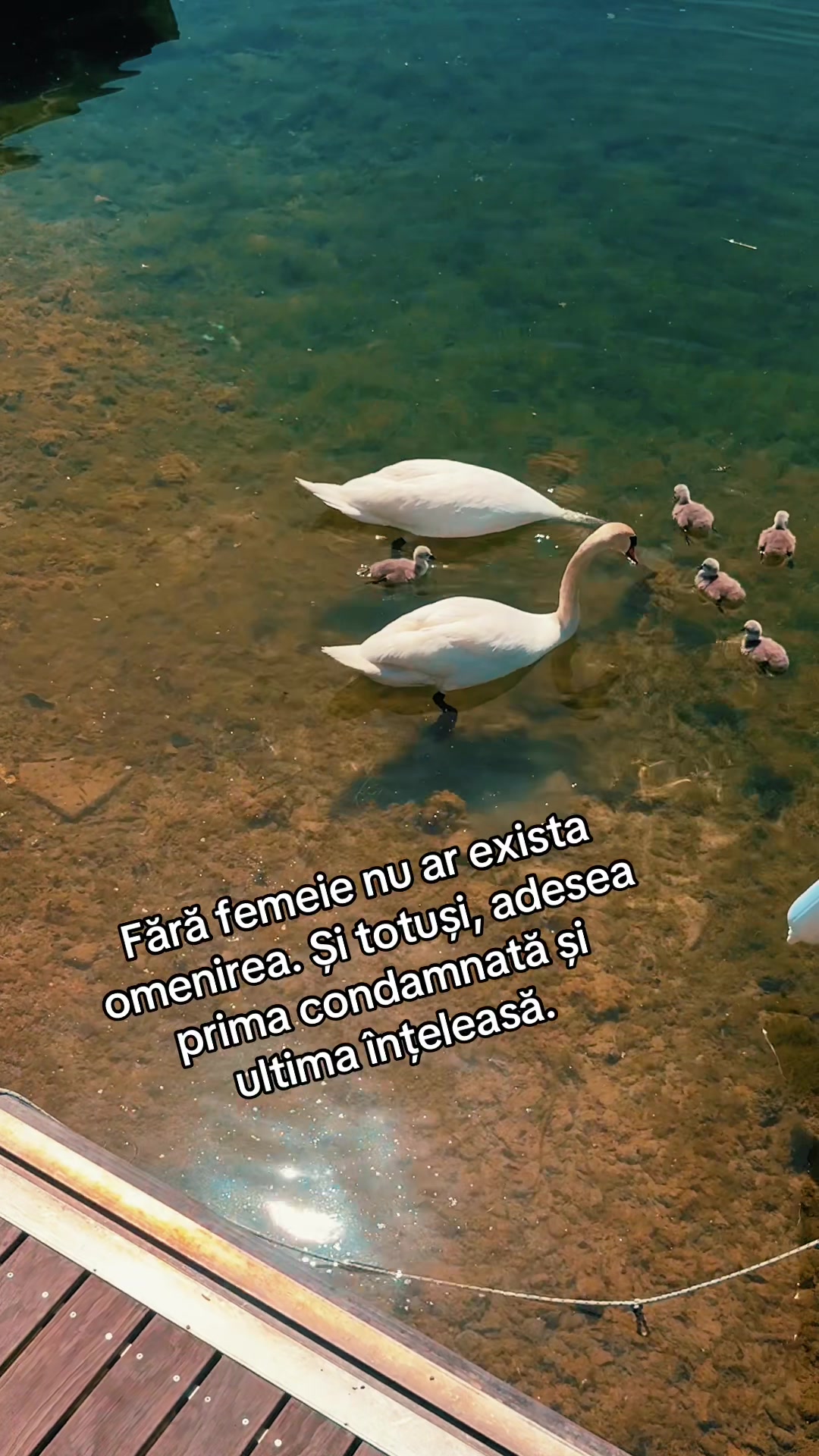 @Bianca 🩷🦀🌜🩷
