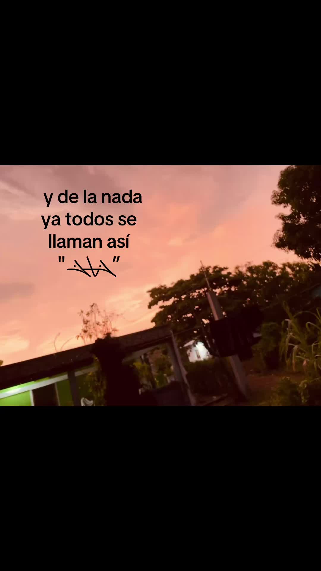 @TaleX 🇧🇷
