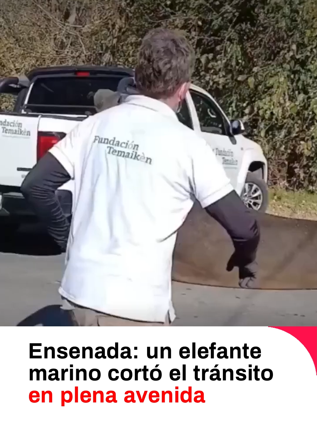 @Filo.news