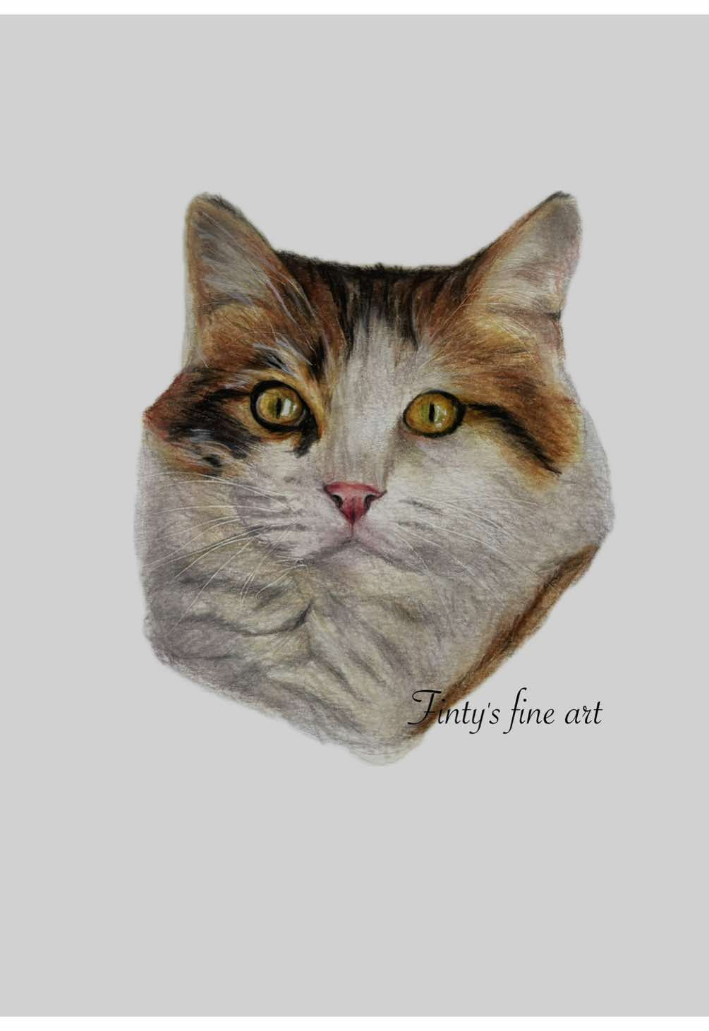 @Fins_fine_art