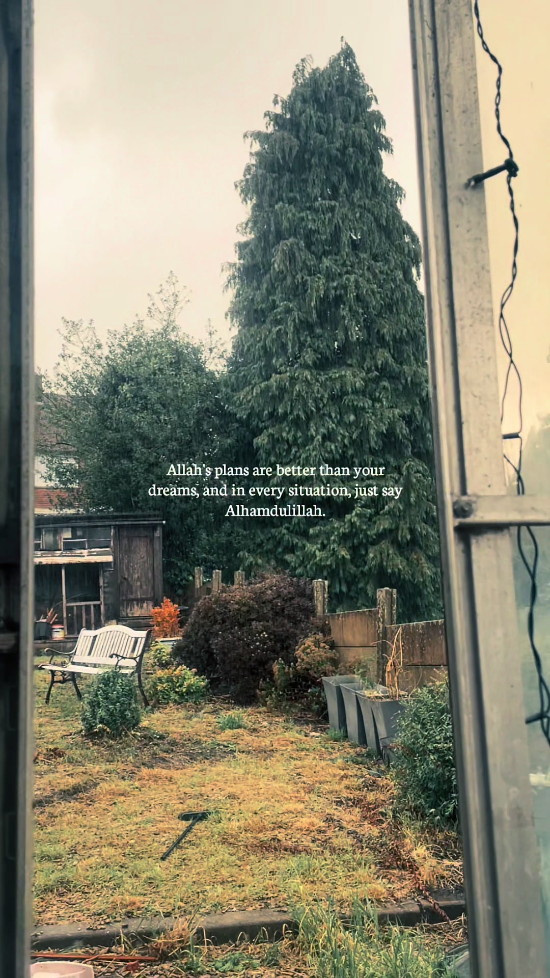 @Areej Iqbal🇵🇰🇬🇧