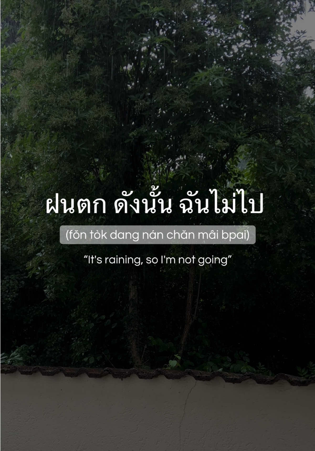 @moniCe • โมนิ