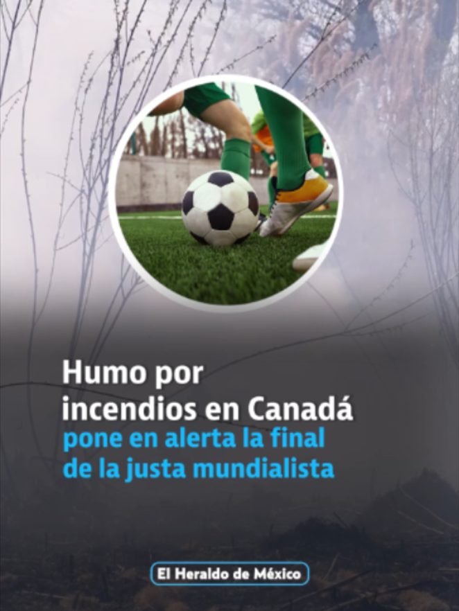 @elheraldodemexico