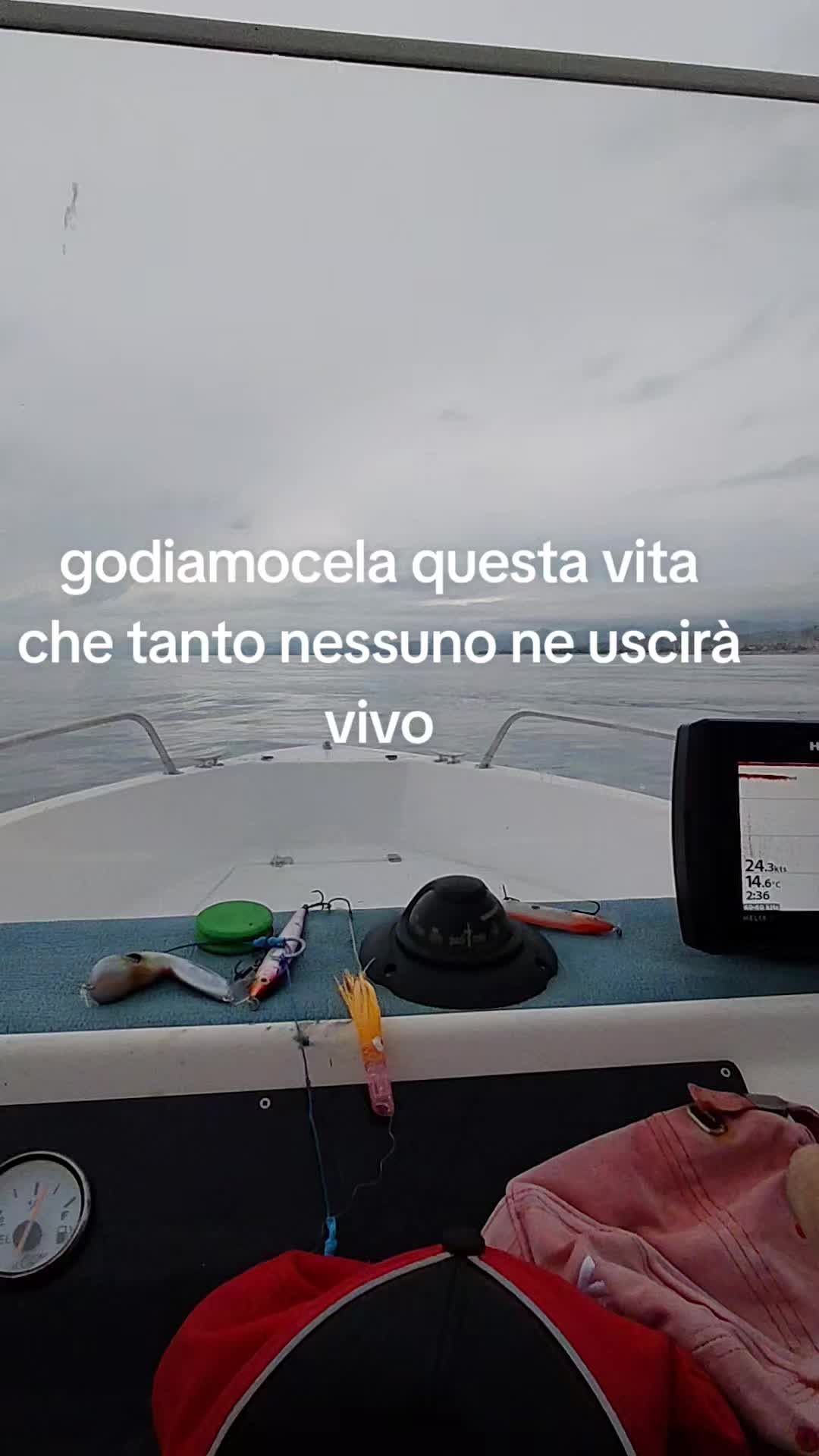 @Carlo🌶️