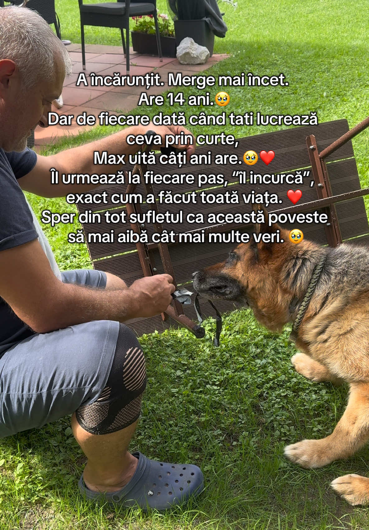 @Dr. Nicola Ioana