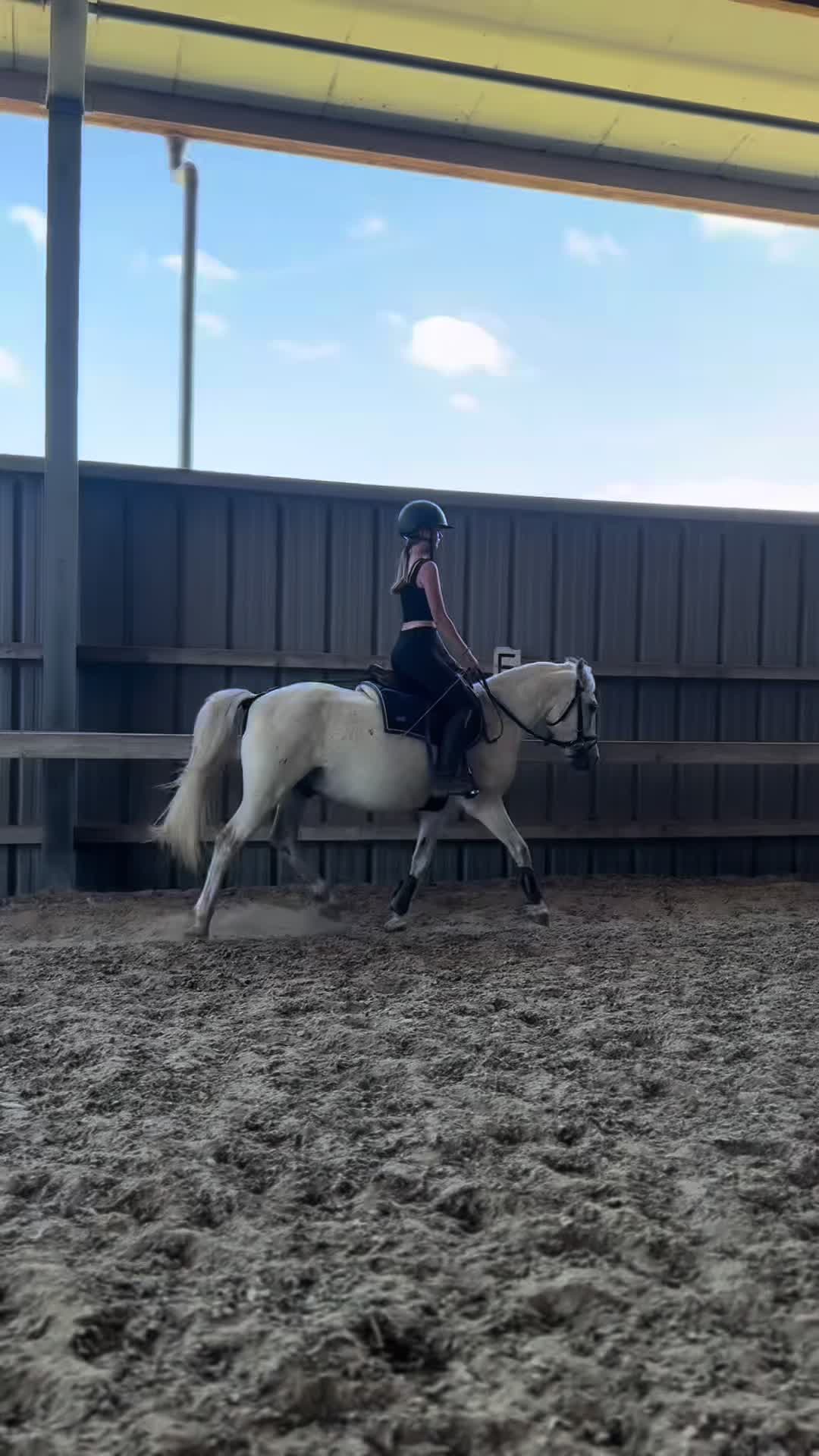 @leann.equest