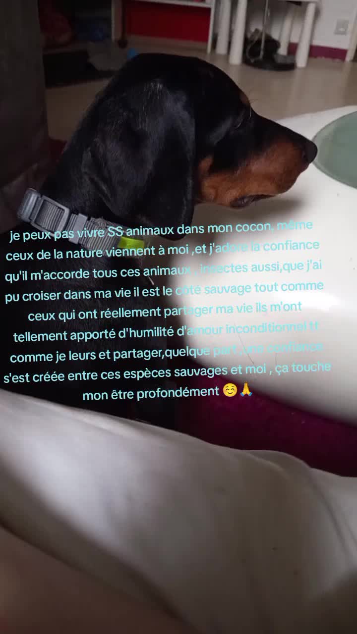 @Dj_Aniballe