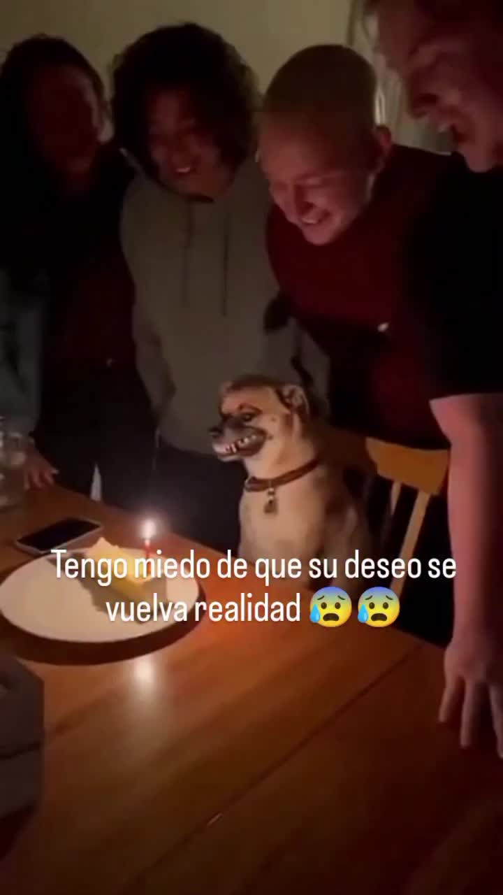 @Elbeibi_clips