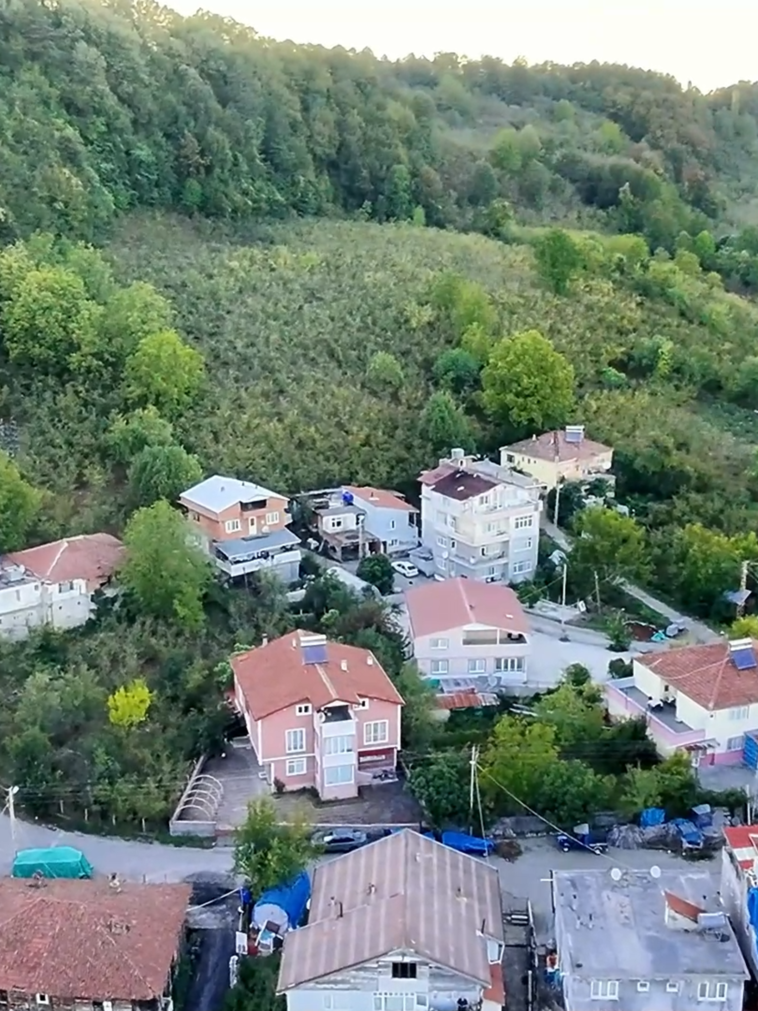 @MoTuK