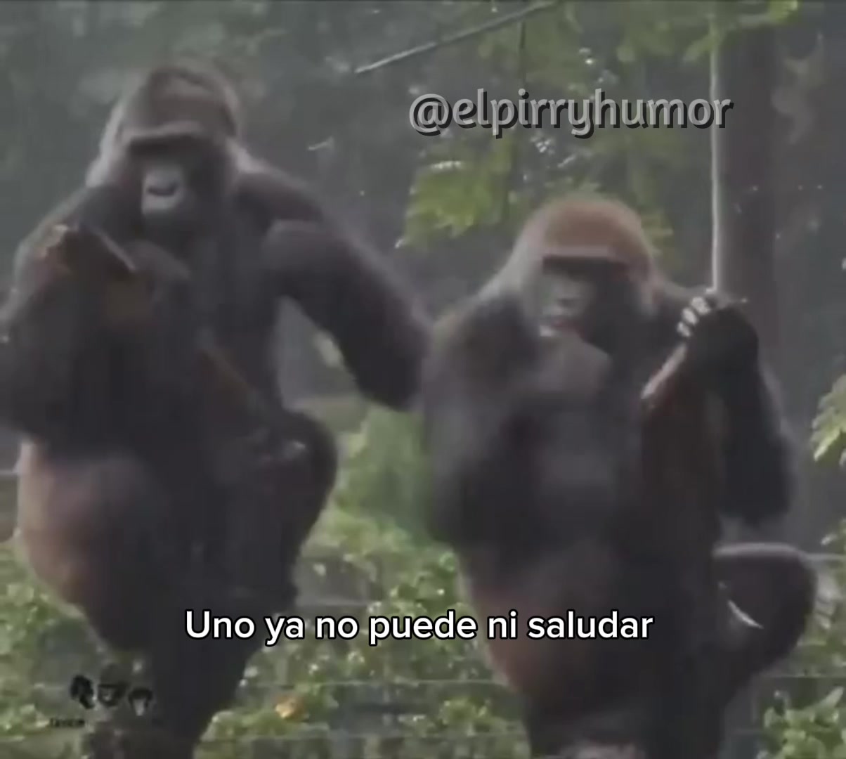 @@elpirryhumor