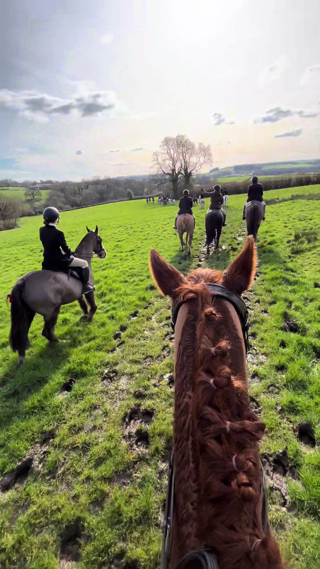 @ell 🌾🐴