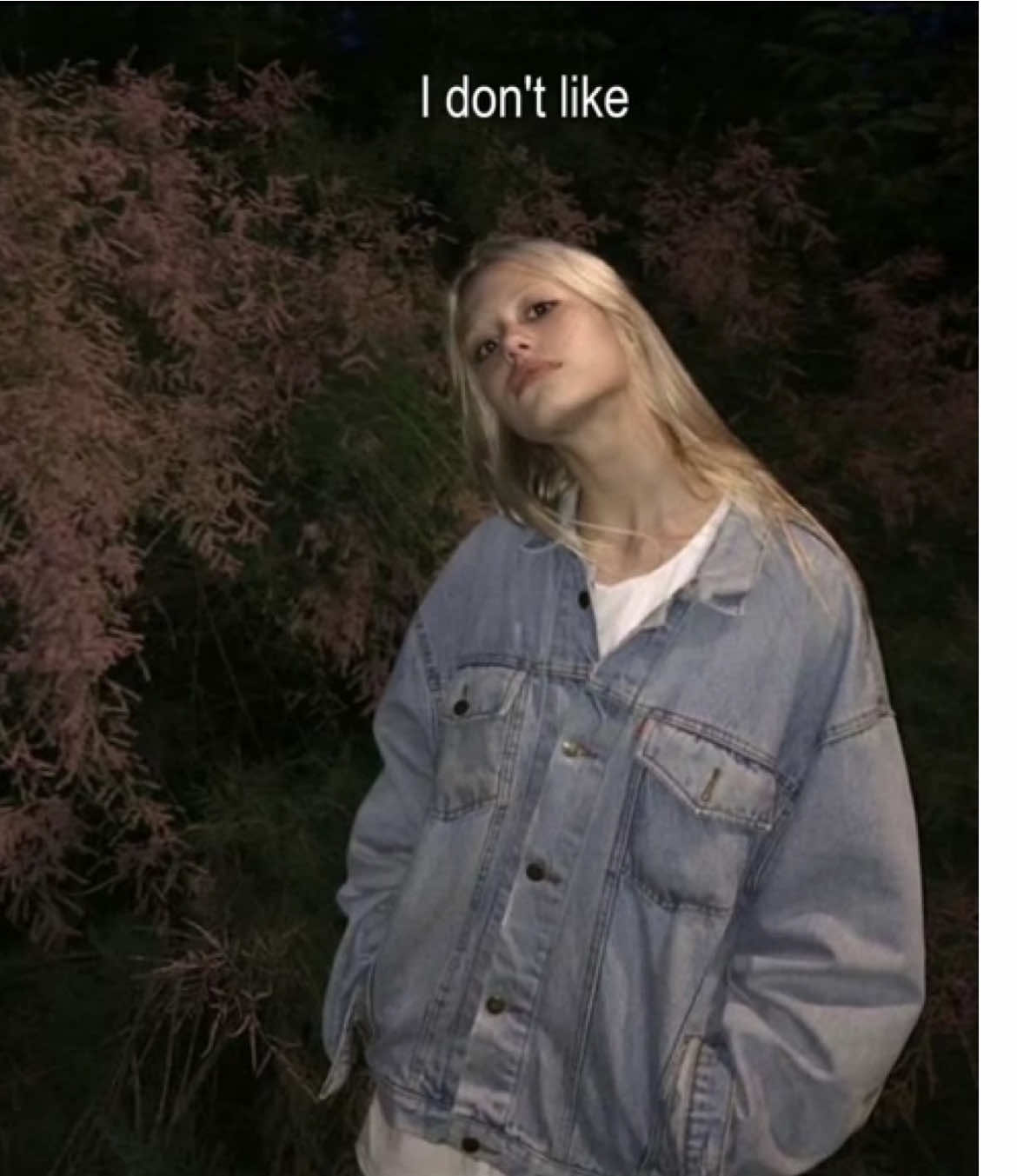 @hofma_nnitka