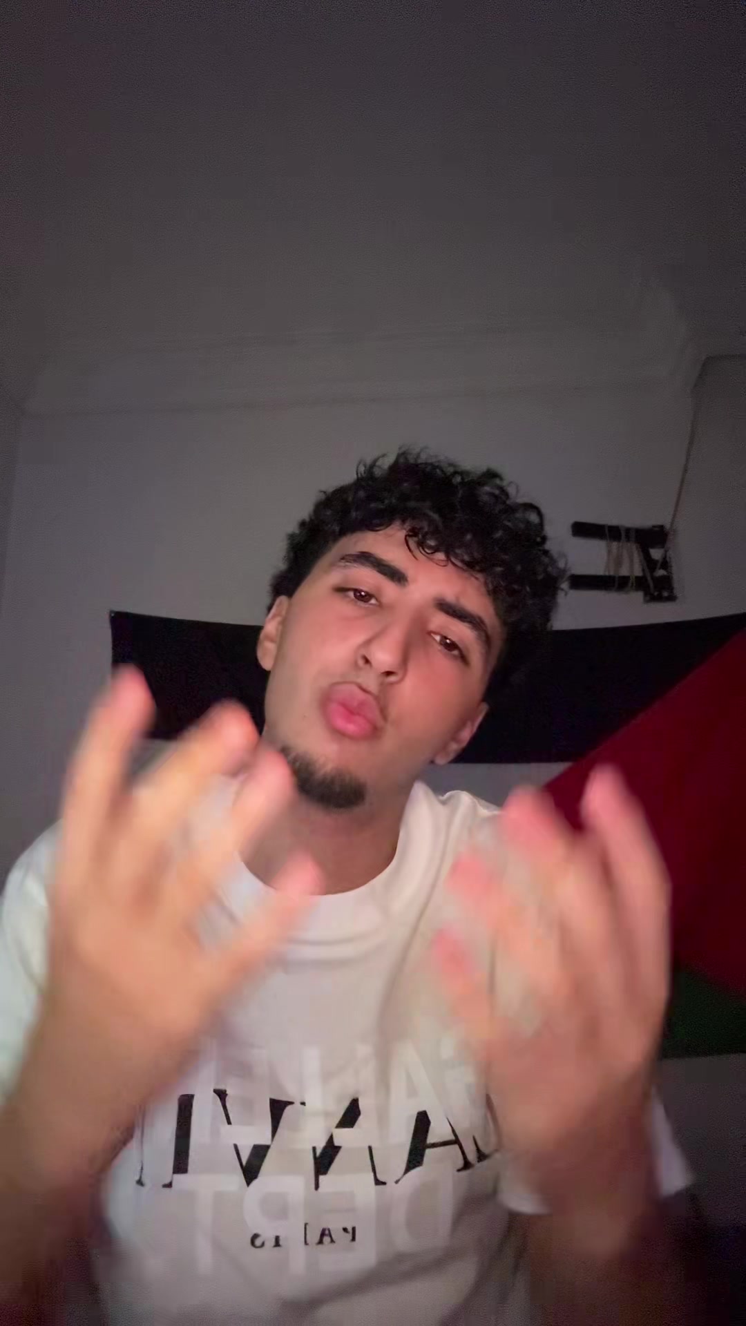 @🇵🇸